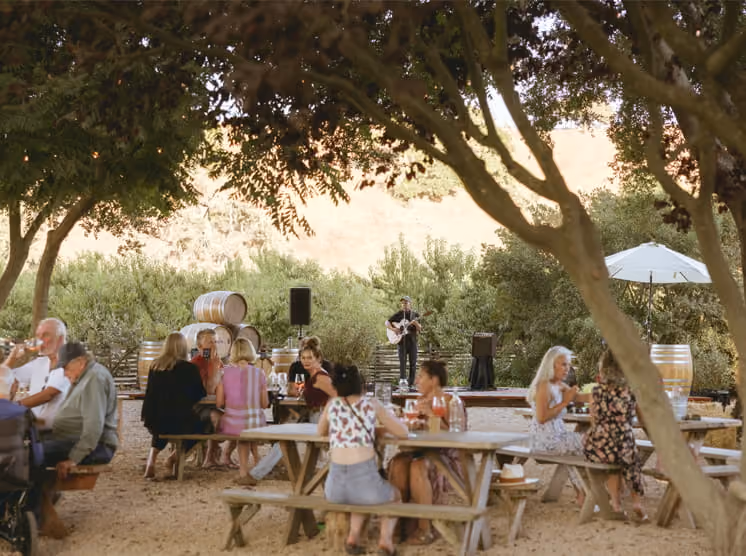 Guests enjoy wine at outdoor picnic tables while a guitarist performs at a shaded winery venue with oak barrels.