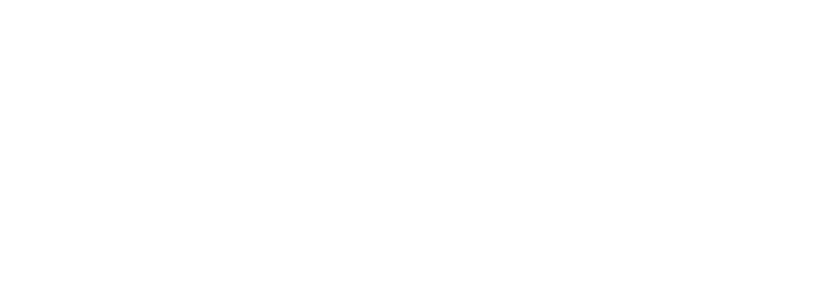 Flow logo