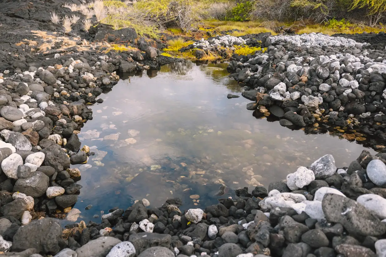 anchialine pond at Hoʻonā