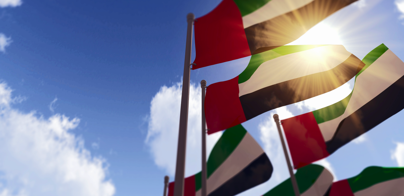 67% of crypto transactions in the UAE were institutional investments: Report