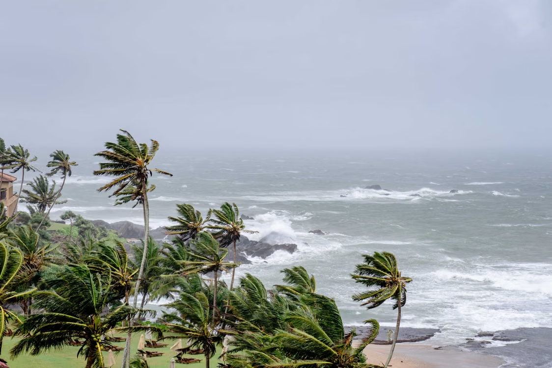 Strong hurricane winds blowing coastal palm trees along a stormy shoreline, illustrating tropical storm risks covered by Tampa home insurance.