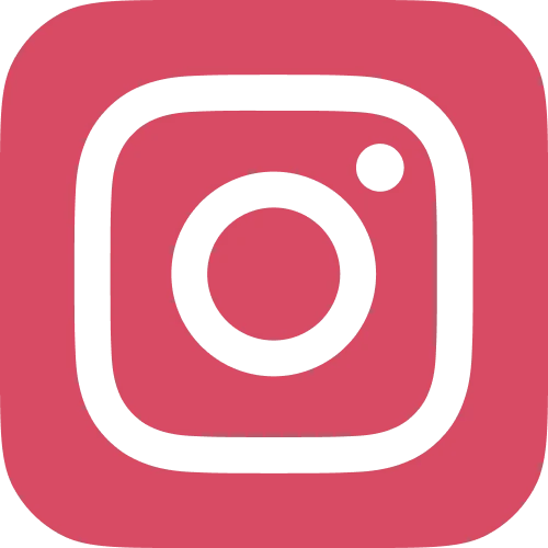 Icone Instagram en rose