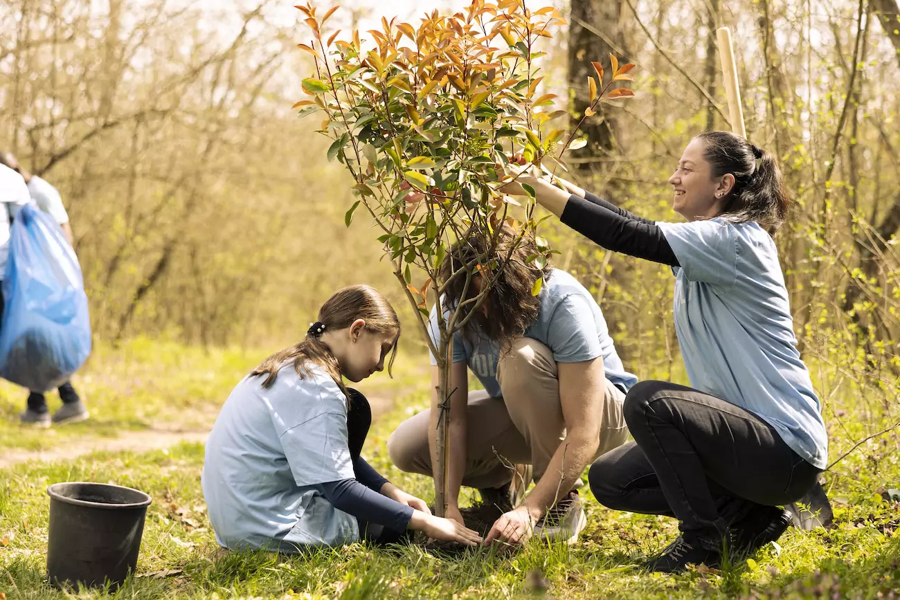 Sustainable Air Conditioning: Offsetting Carbon by Planting Trees