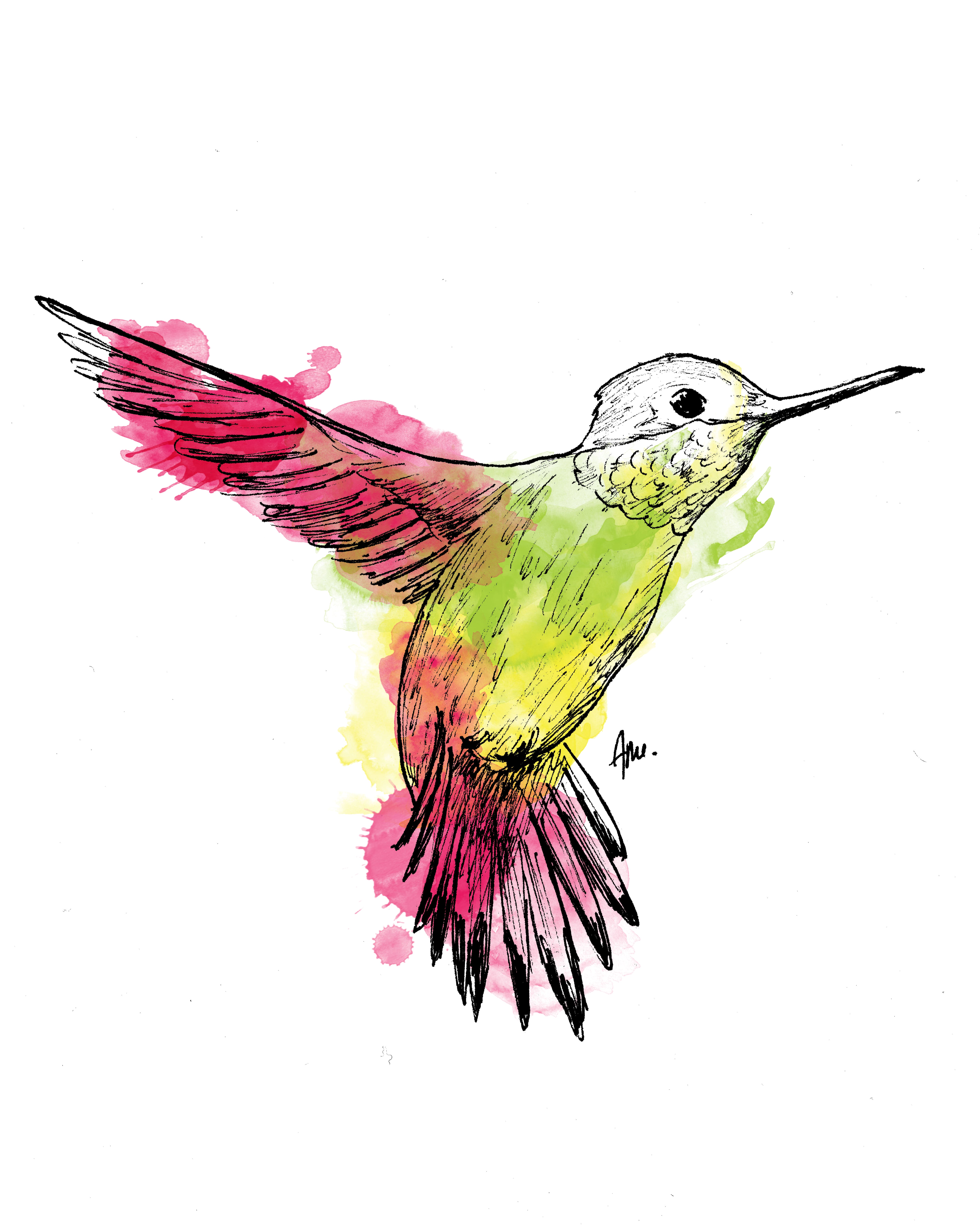 colibris en vol encre et aquarelle