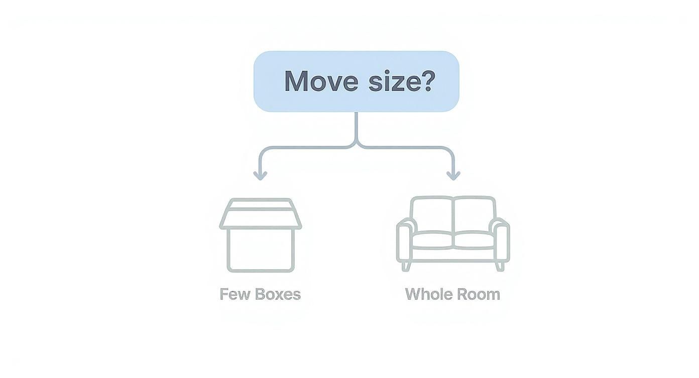 Infographic about storage companies that pick up