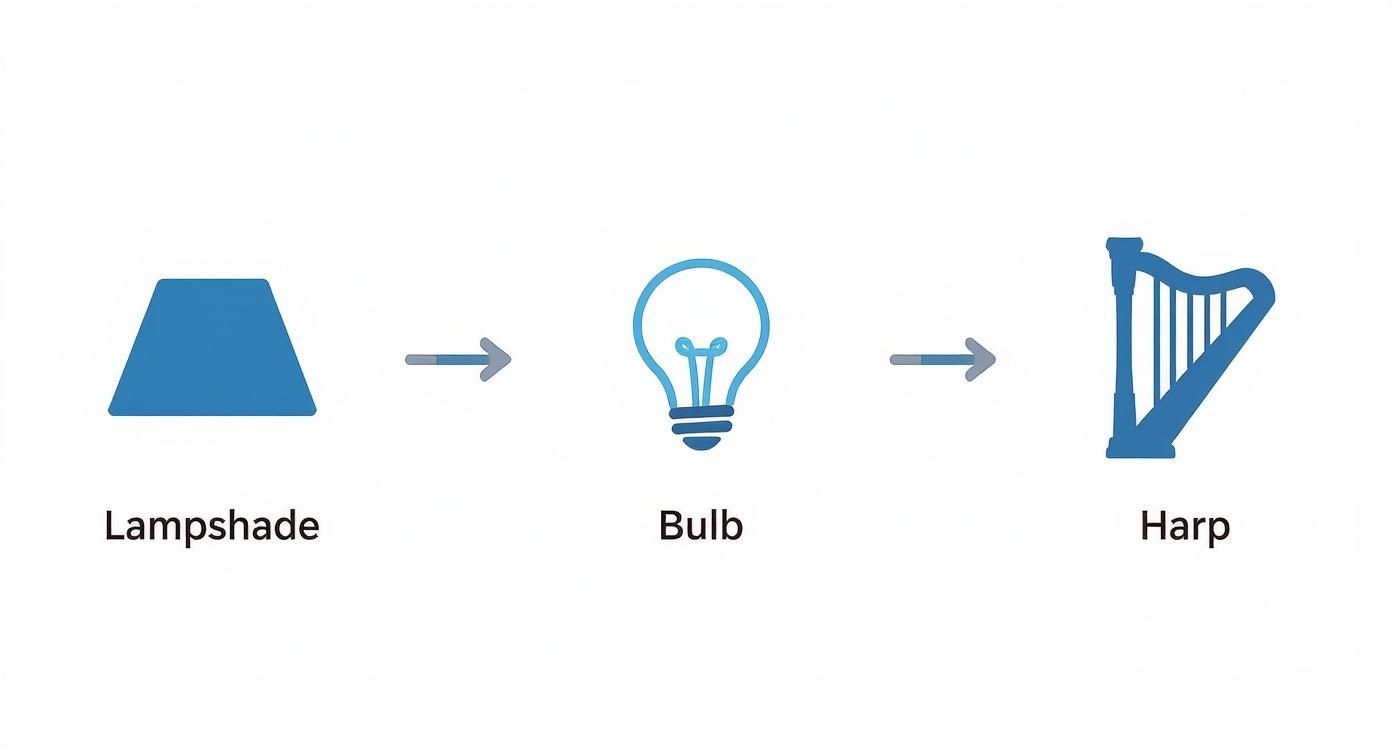Visual diagram showing lampshade, light bulb, and harp components connected by arrows illustrating lamp parts