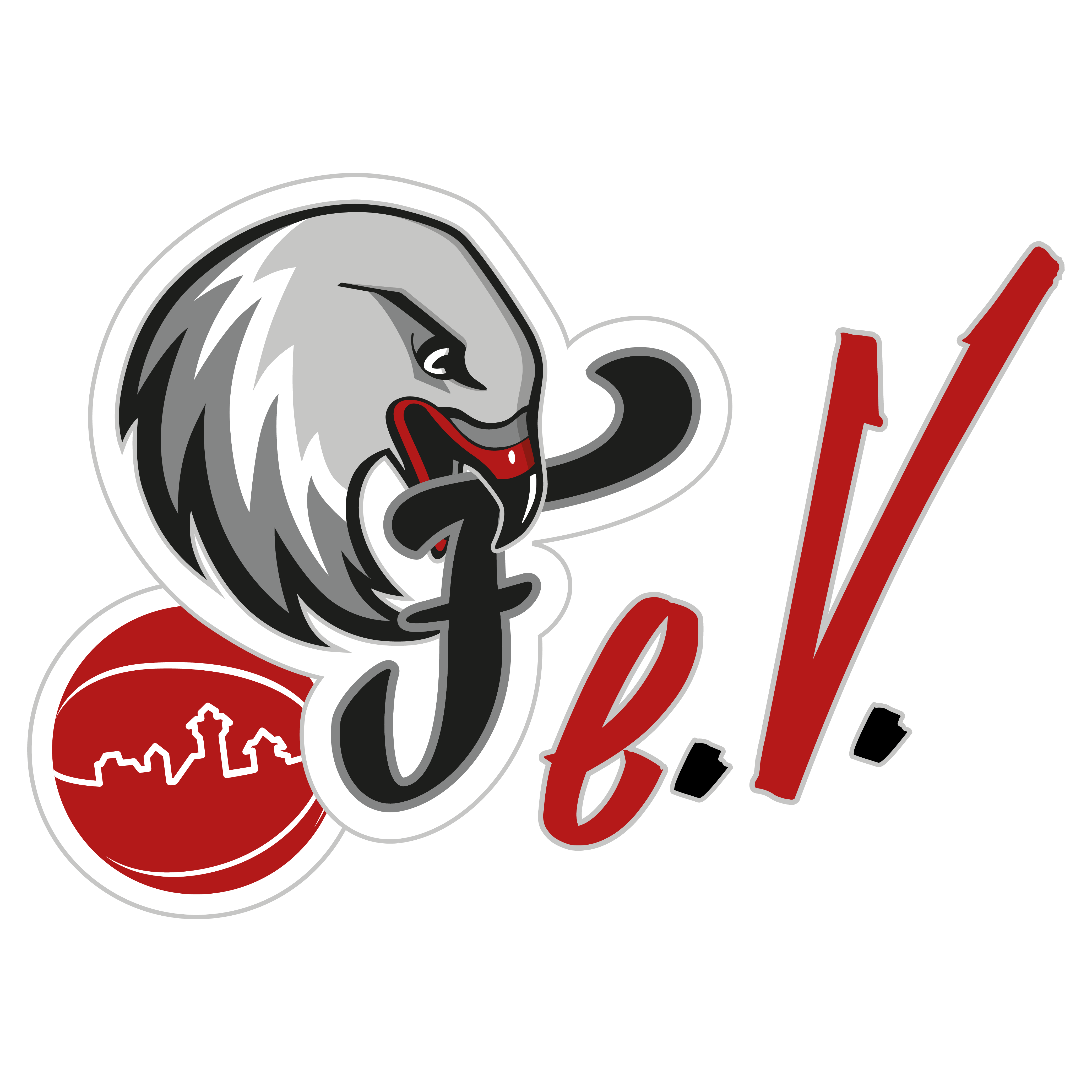 Nürnberg Falcons e.V.