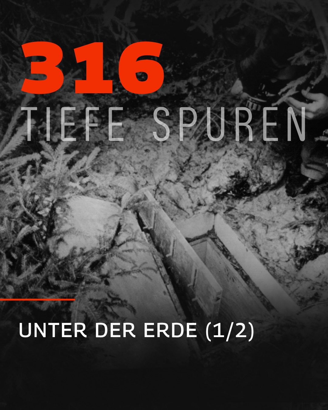 MORD AUF EX