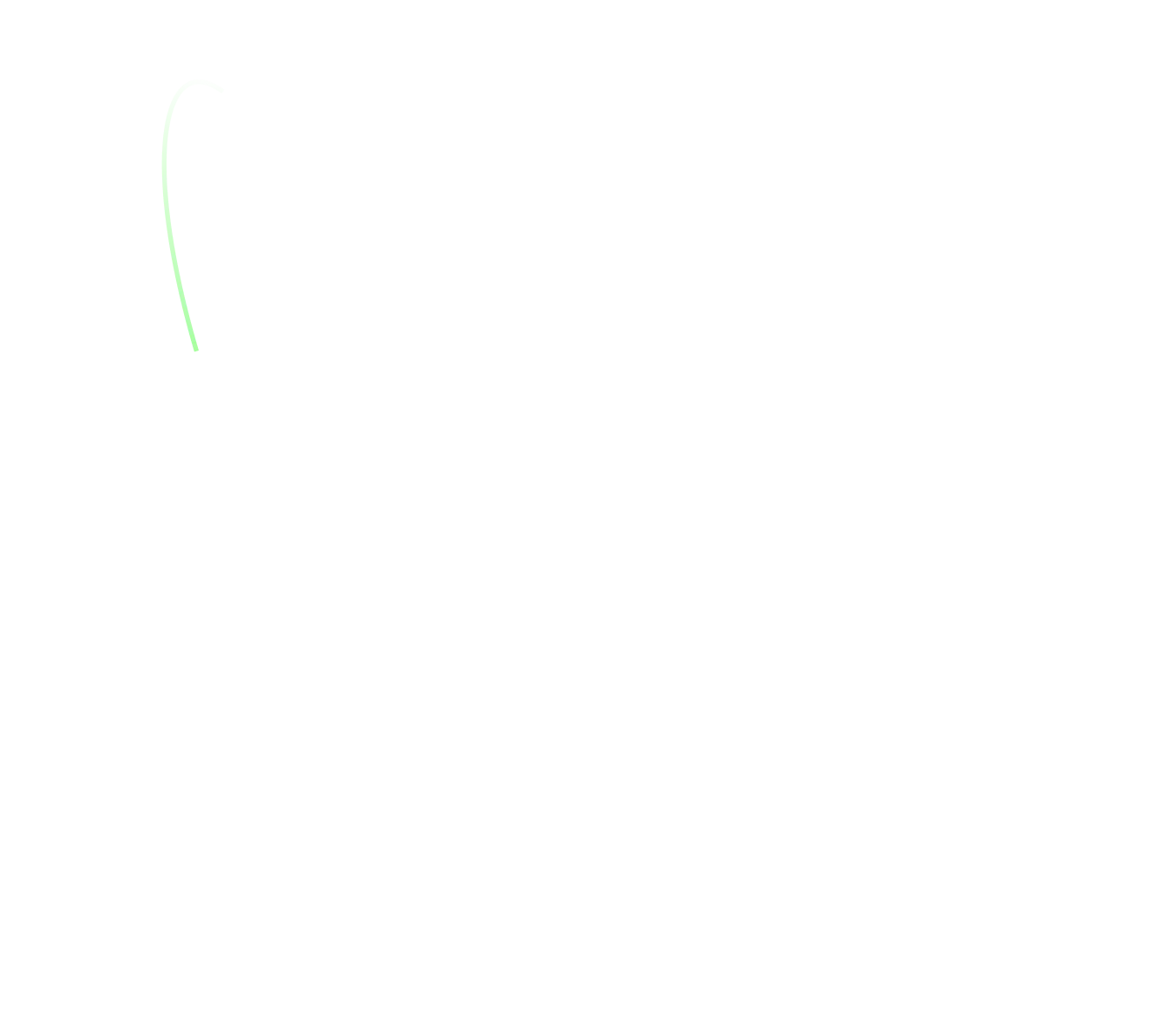 A black background with a green line in the middle.
