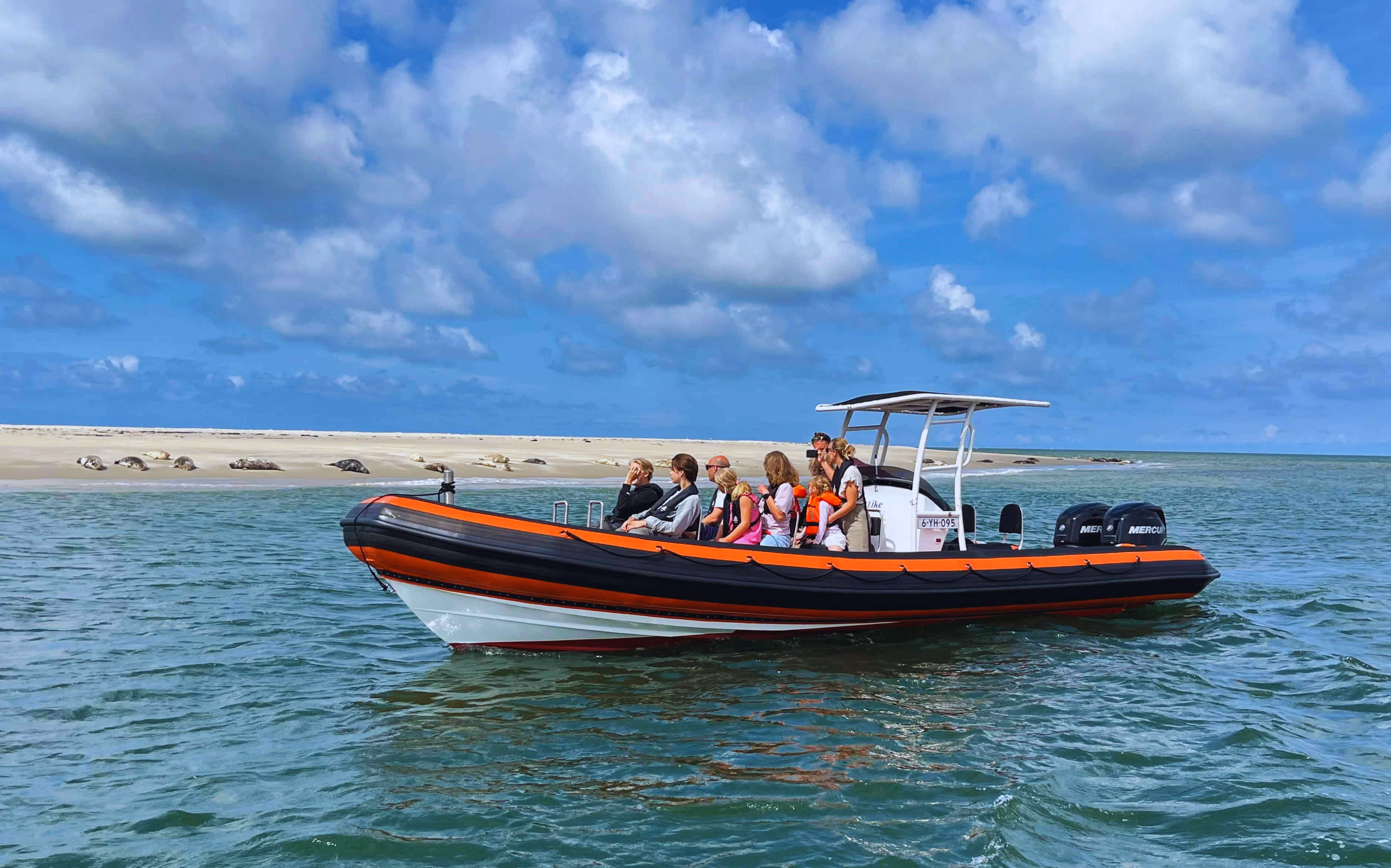 Zeehondentochten met I Like Terschelling