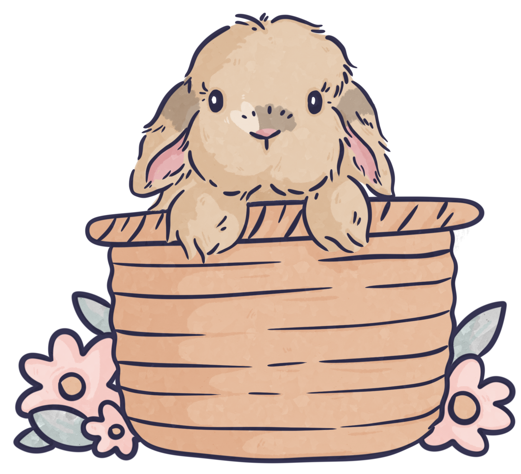 Muni the bunny