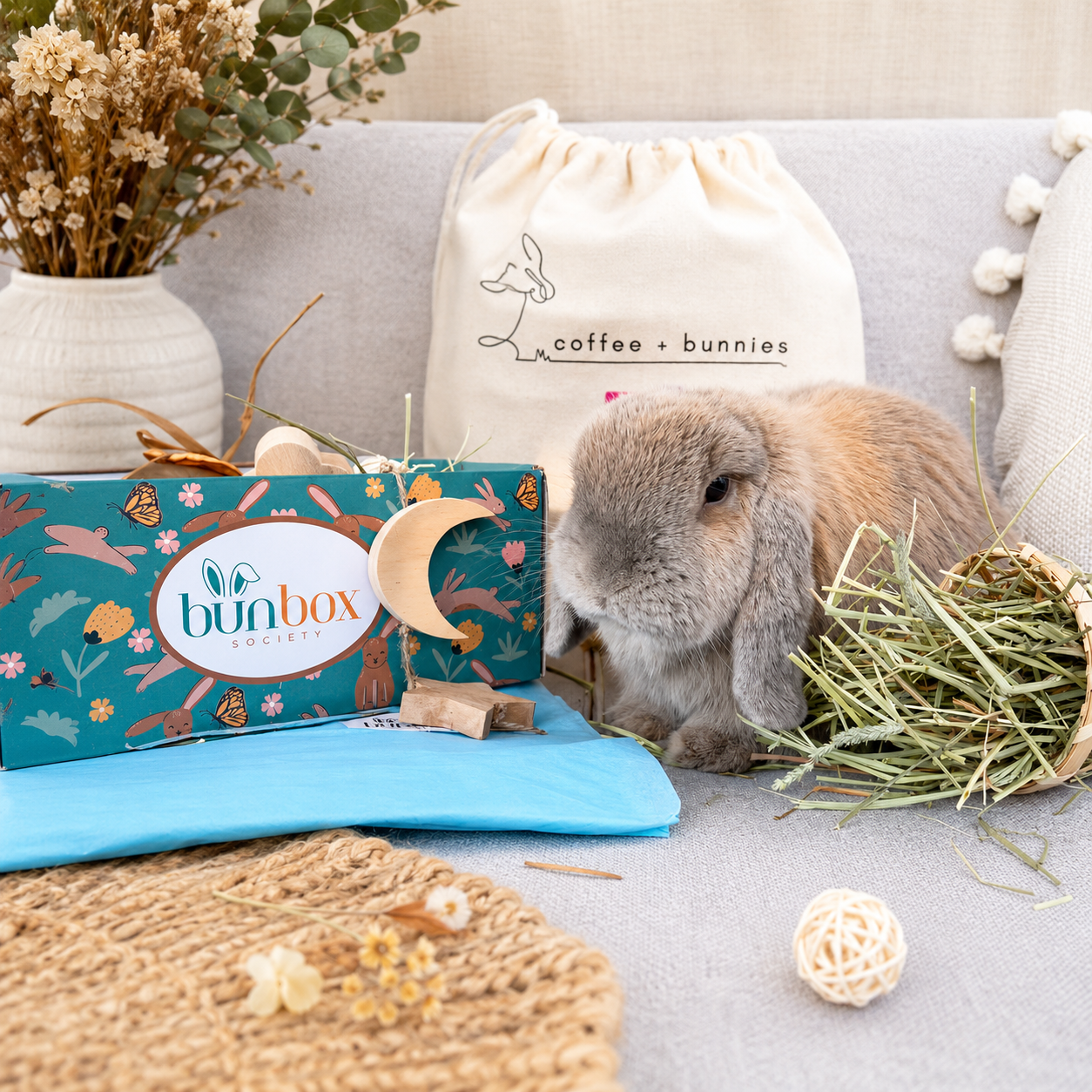 Chippie with a Bun Box Society subscription box and toys