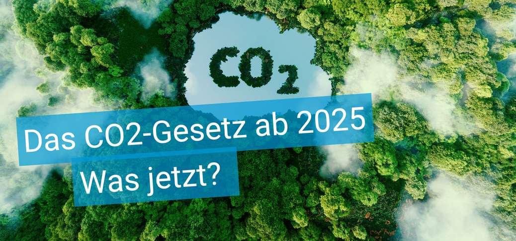Titelbild Artikel "Das CO2-Gesetz ab 2025 - Was jetzt?" - grüner Wald mit Nebel