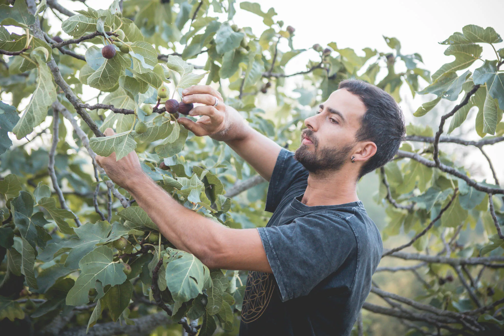 Azienda Agricola L'Amaranto — foto 2