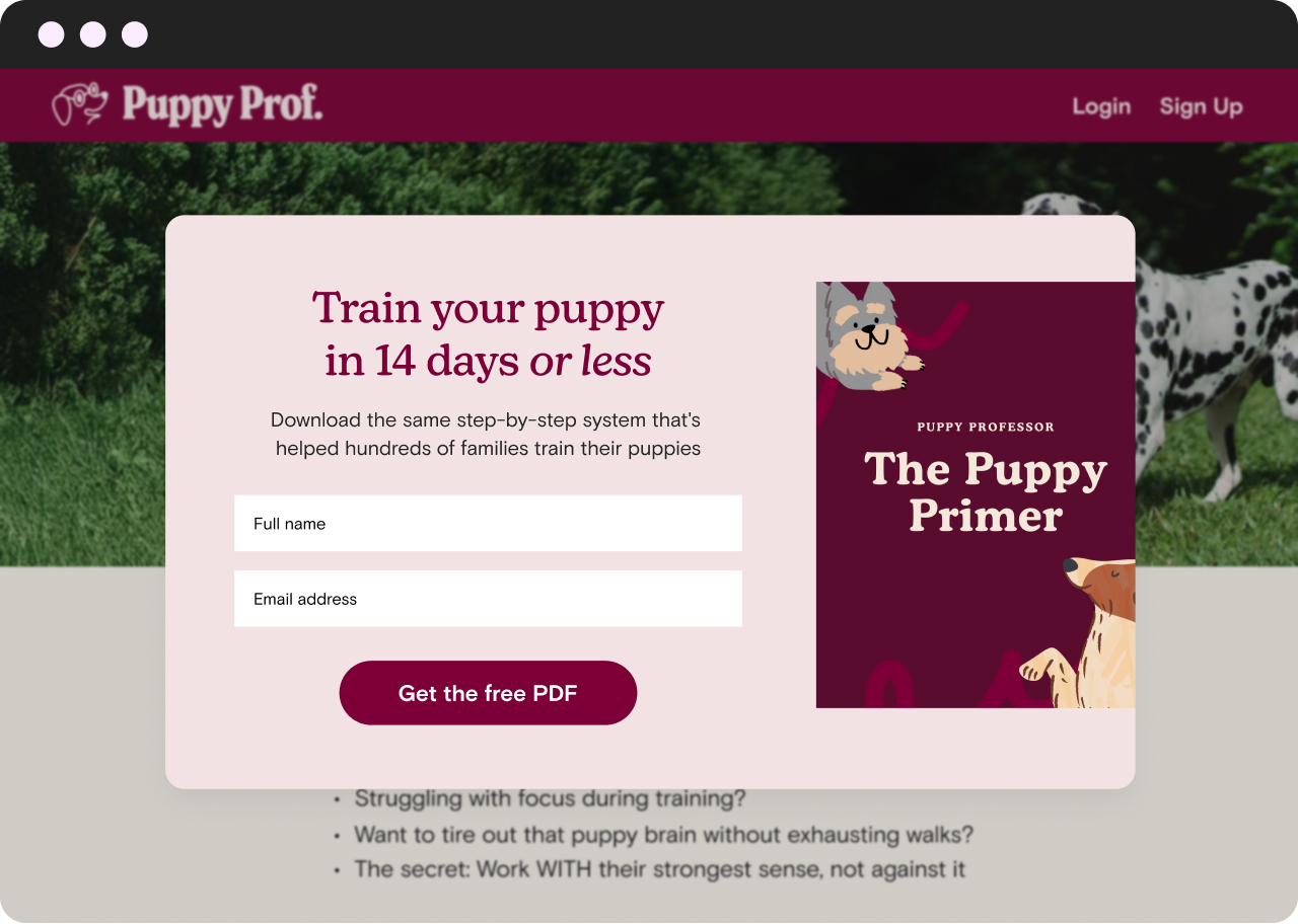 The image is a promotion for "The Puppy Primer" course offered by Puppy Prof. It features a webpage mockup with a pink and burgundy color scheme. The main section has text stating, "Train your puppy in 14 days or less" followed by a description of the training program. Two input fields are provided for entering a full name and email address, with a burgundy button labeled "Get the free PDF" below them. A side panel shows an illustration of a playful puppy atop a burgundy background. In the background, there's a partial image of a Dalmatian dog standing on a grassy field. The top bar contains navigation options and the logo for Puppy Prof.