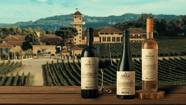 Laghetto agora é Miolo: tradição, hospitalidade e vinho