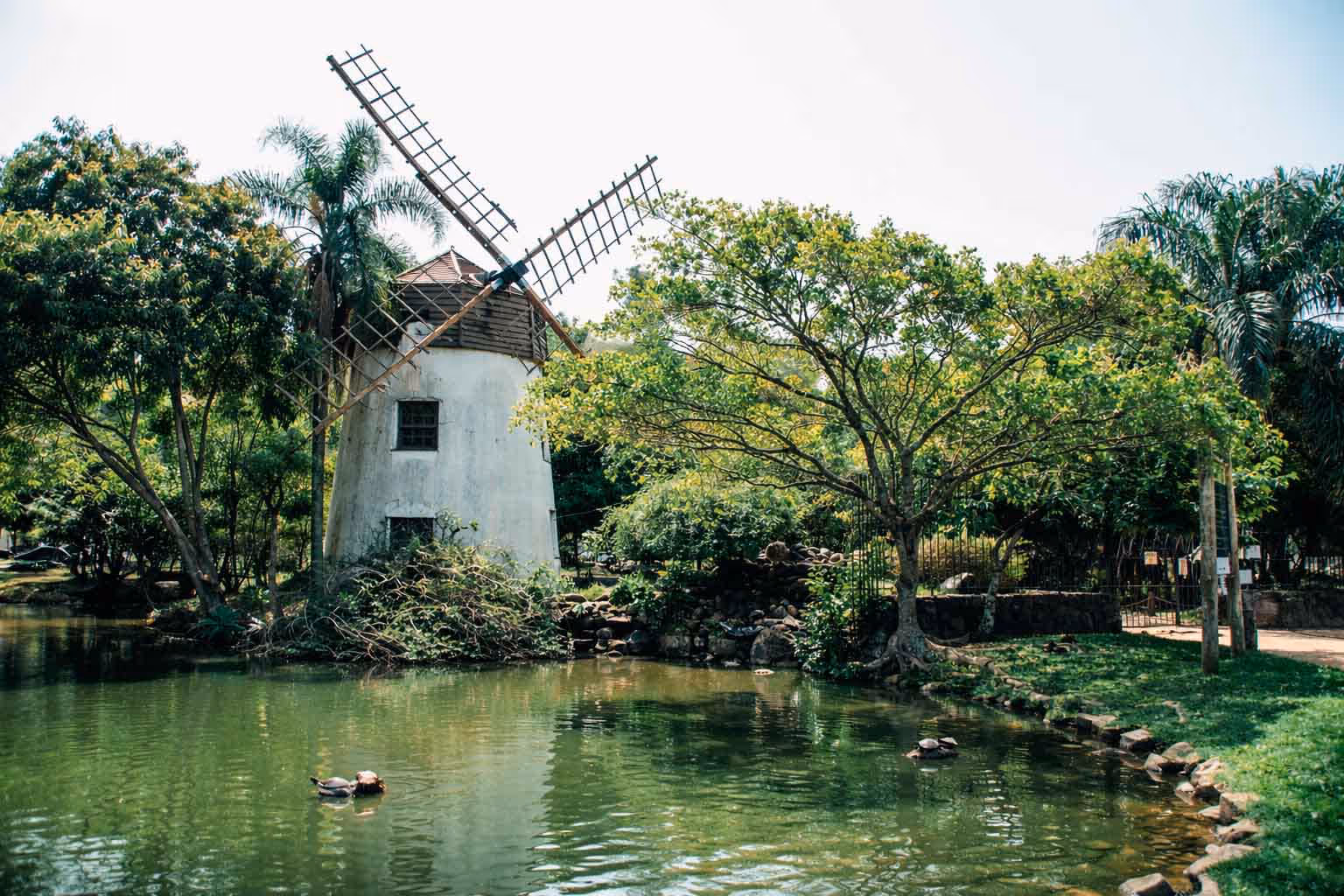 Bairro Moinhos de Vento: onde o charme define Porto Alegre