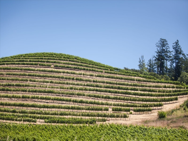 Private Mountain Estate Homes With Vineyards