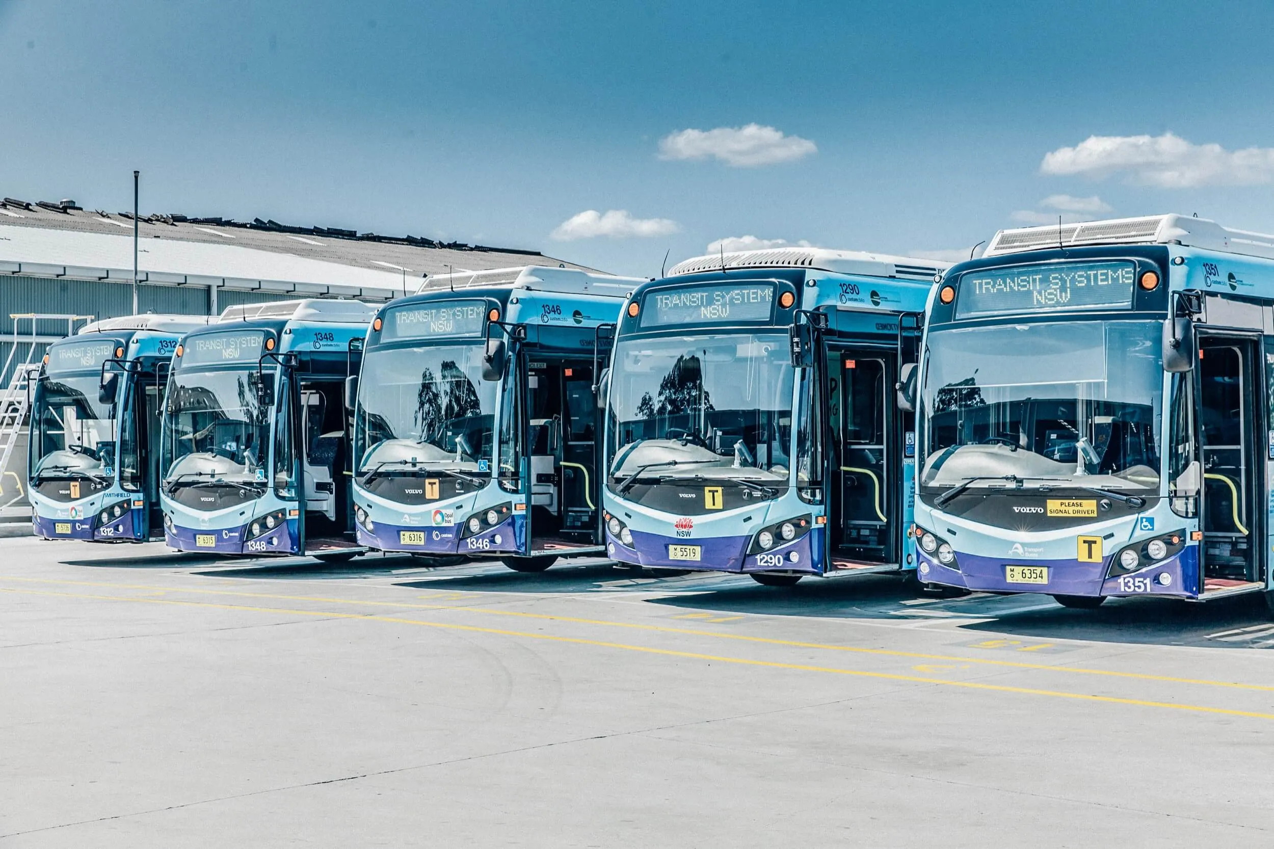Six blue and white Transit System NSW buses parked in a row at a depot under clear sky.