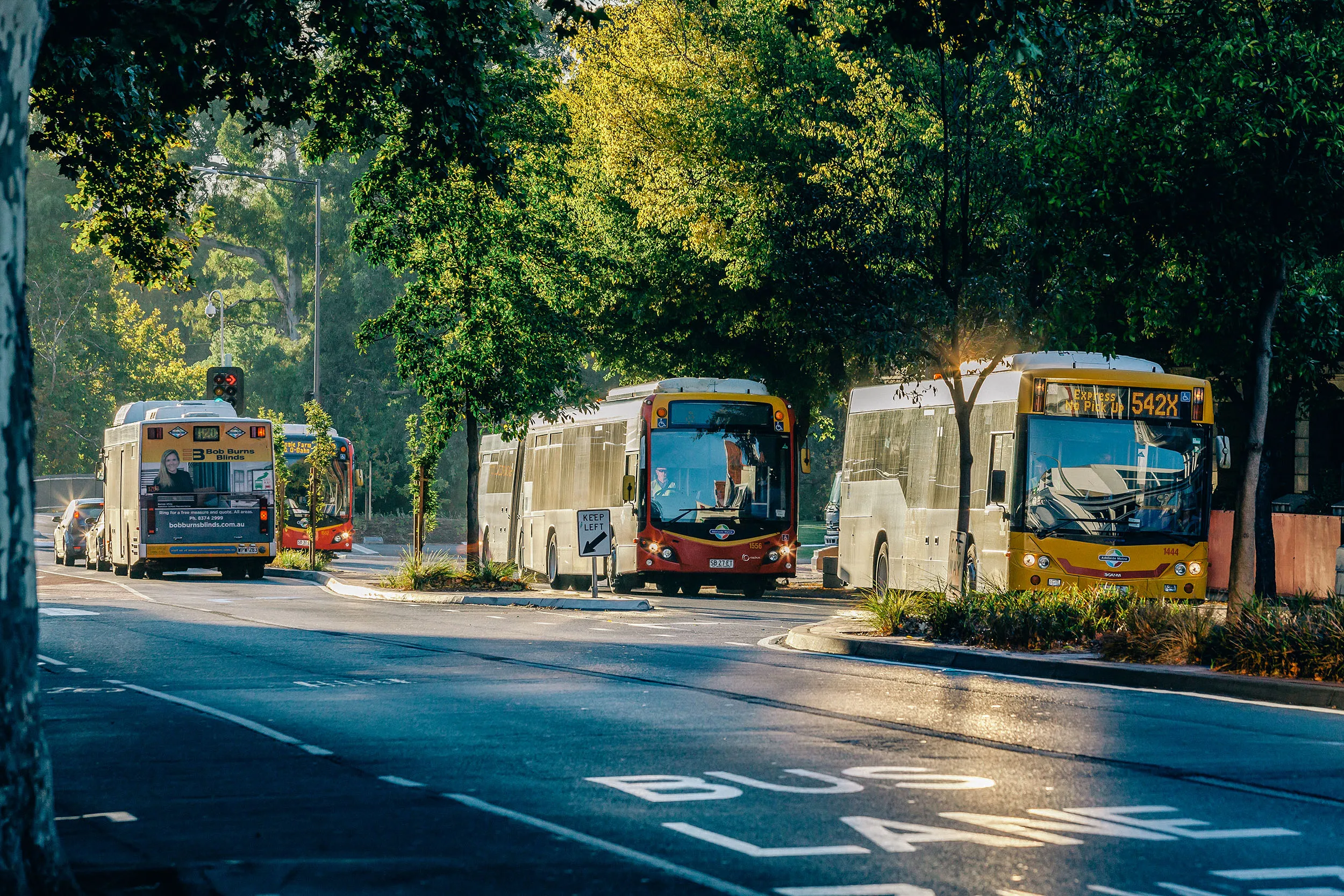 Several buses lined up in a shaded bus lane on a street with green trees and morning sunlight.