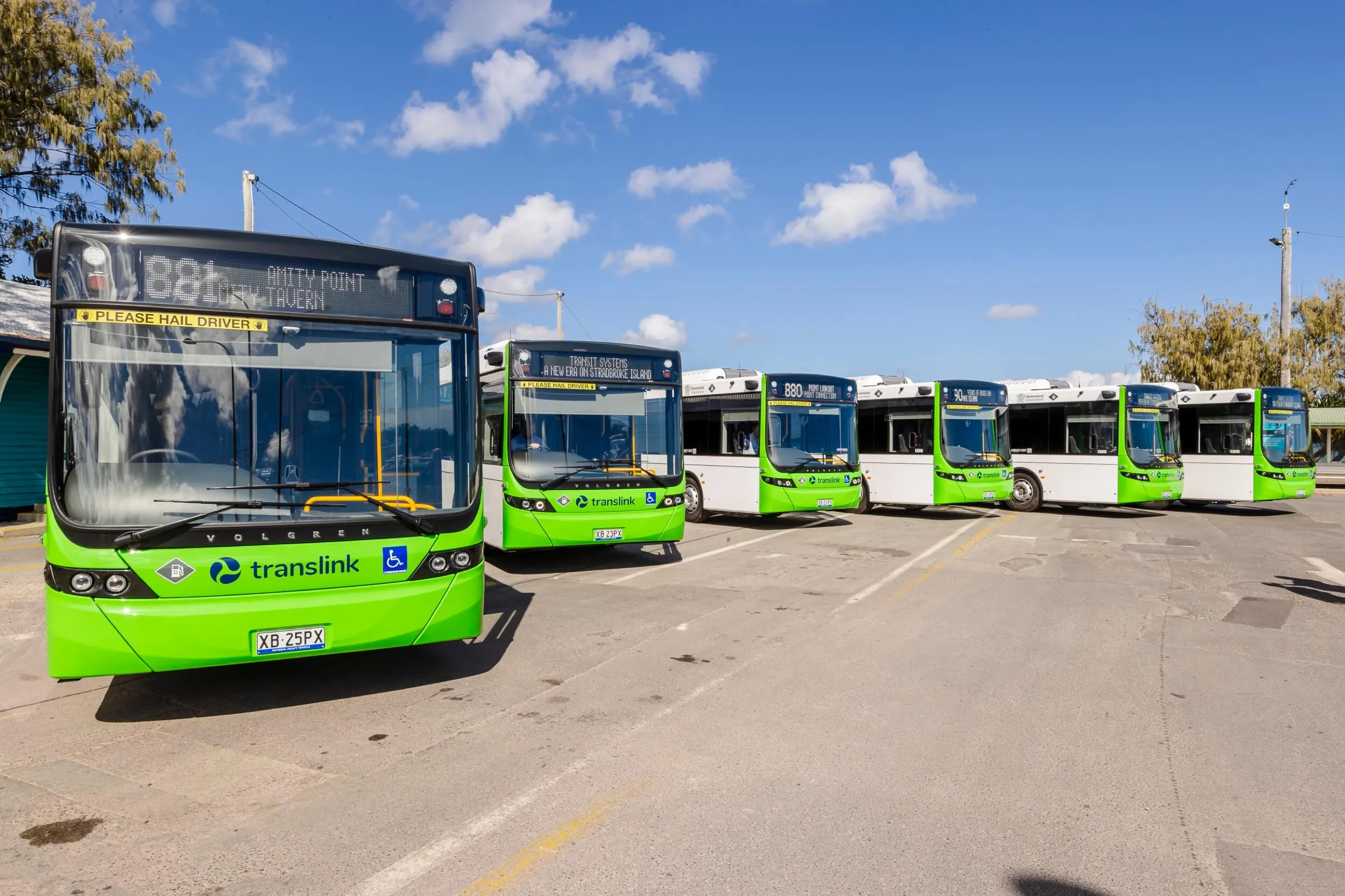 Six green and white Translink buses parked in a row under a blue sky.
