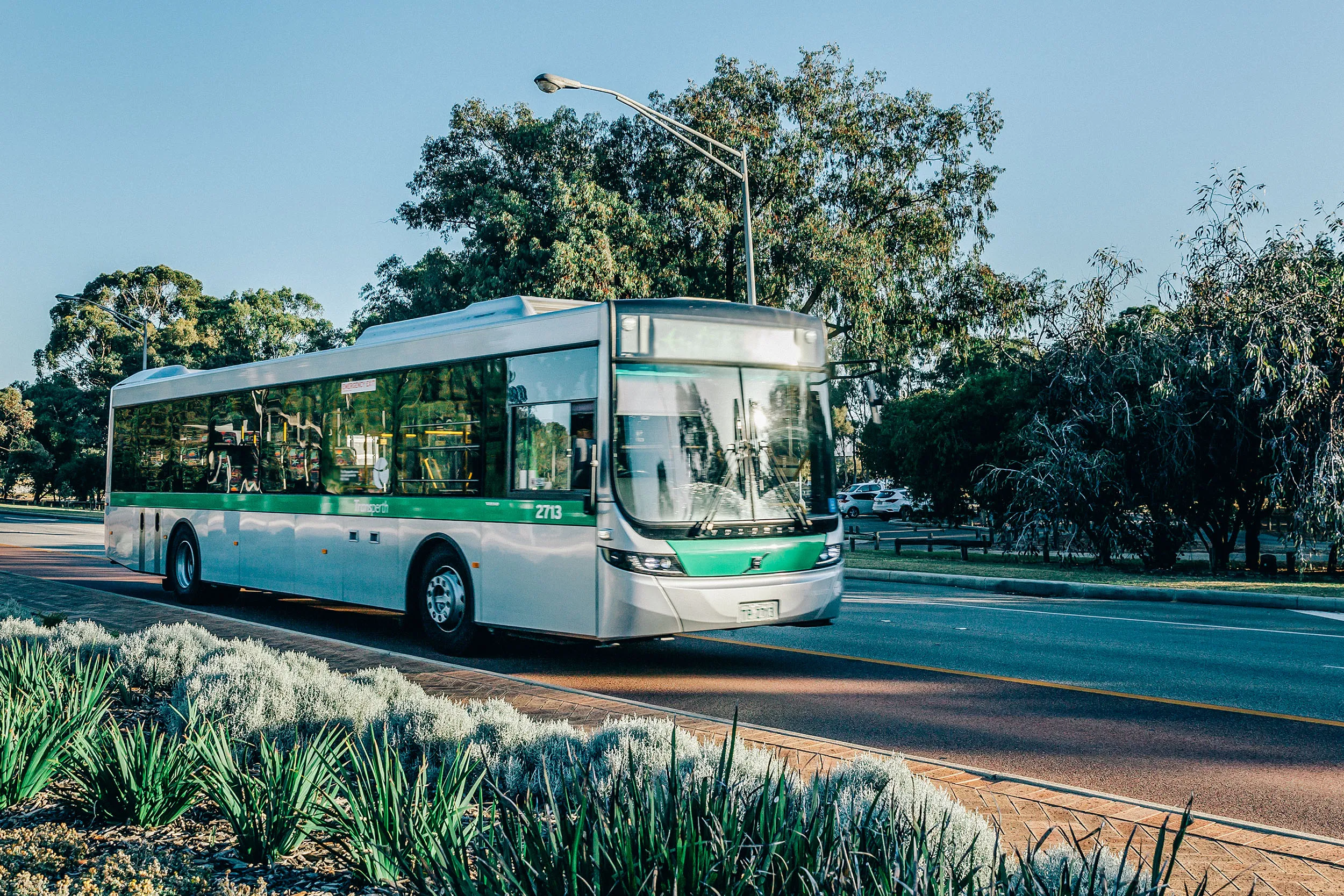 Silver and green public transit bus driving on a road with trees and plants nearby.