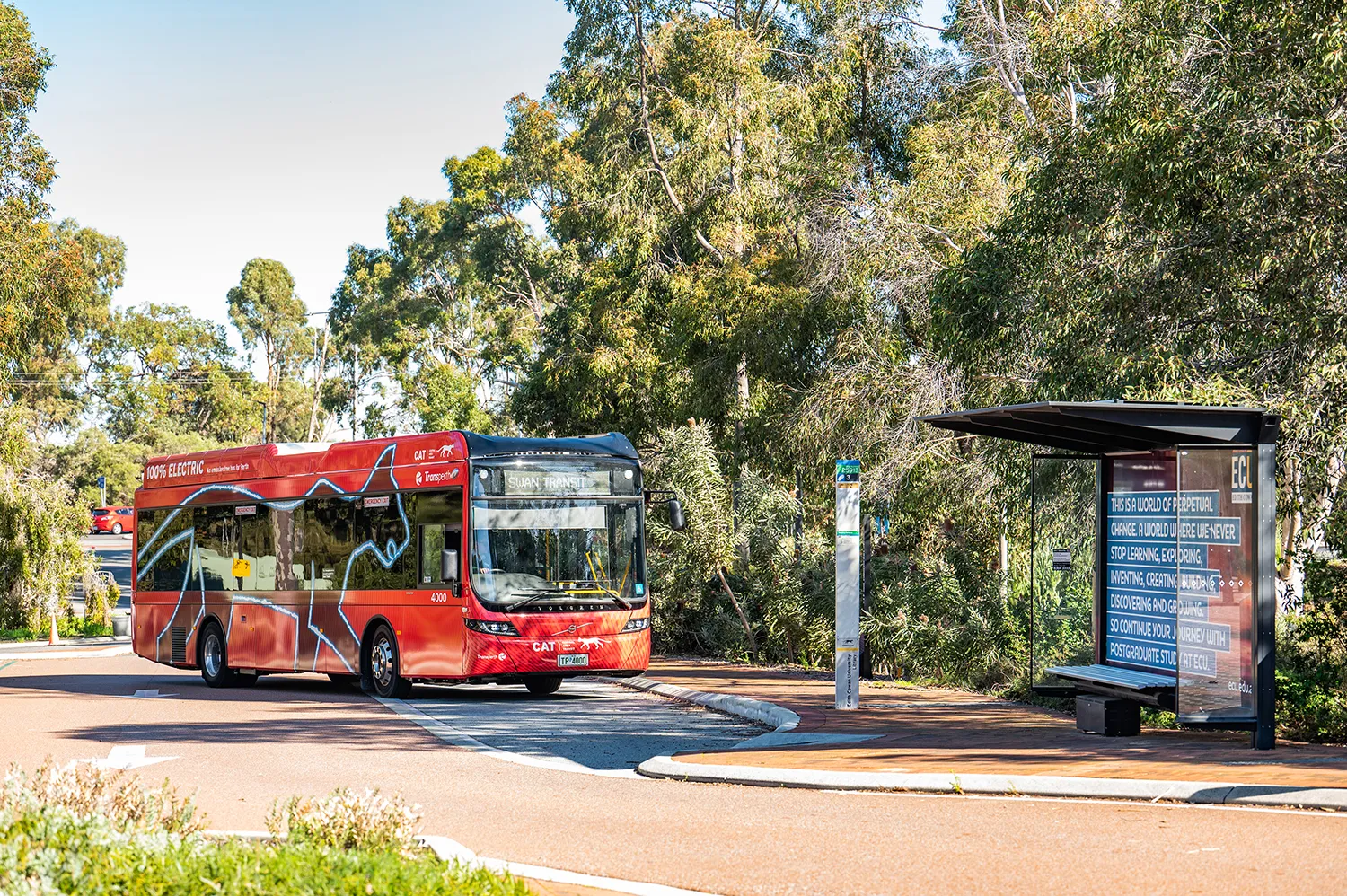 Red 100% electric SWAN TRANSIT bus parked near a bus stop with trees in the background.
