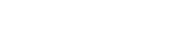 skyecap