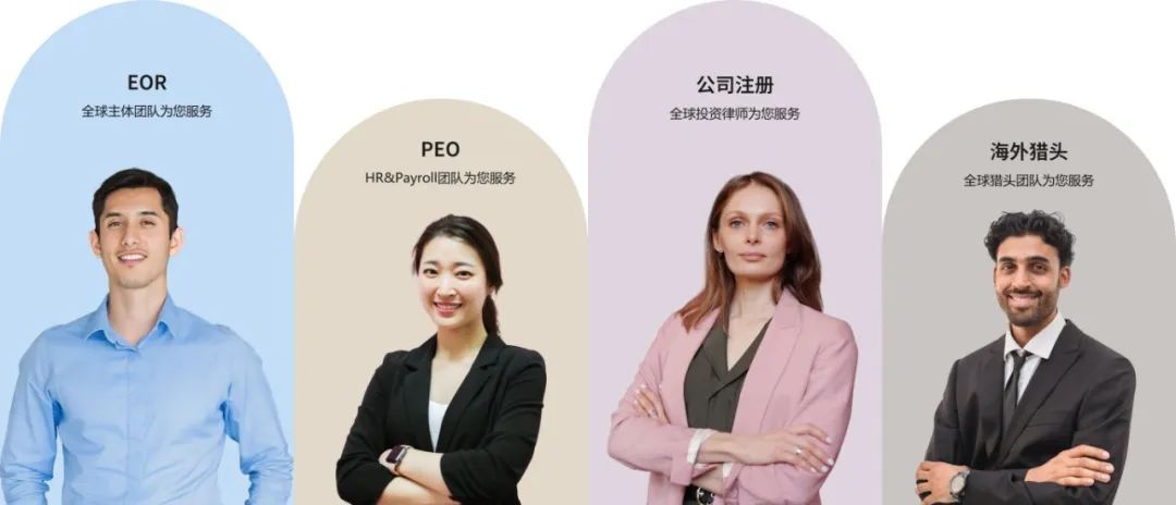 Knit专家团队.jpg