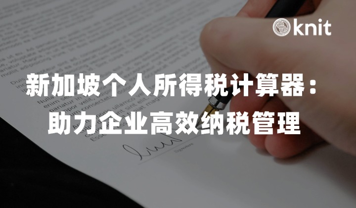 新加坡个人所得税计算器：助力企业高效纳税管理 