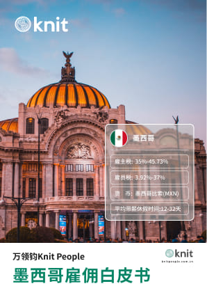 墨西哥雇佣白皮书