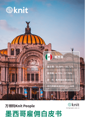 墨西哥雇佣白皮书