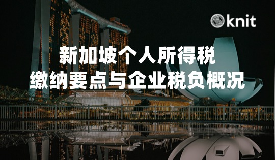 新加坡个人所得税怎么交？一文读懂缴纳要点与企业税负概况 