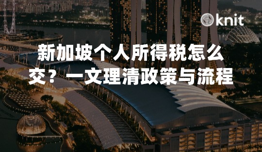 新加坡个人所得税怎么交？一文理清政策与流程 