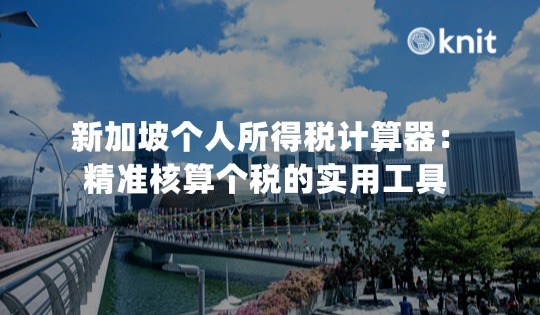 新加坡个人所得税计算器：精准核算个税的实用工具 