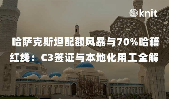 2026哈萨克斯坦配额风暴与70%哈籍红线：C3签证与本地化用工全解
