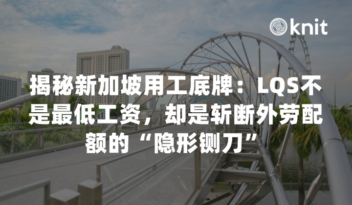 揭秘新加坡用工底牌:LQS不是最低工资,却是斩断外劳配额的“隐形铡刀”