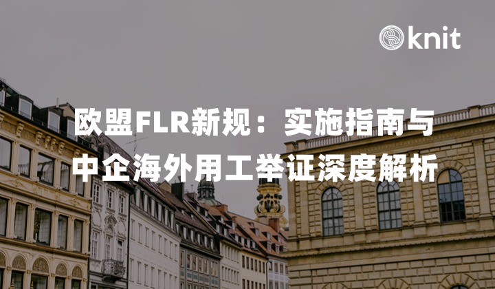2026欧盟FLR(禁止强迫劳动)新规:实施指南与中企海外用工举证深度解析