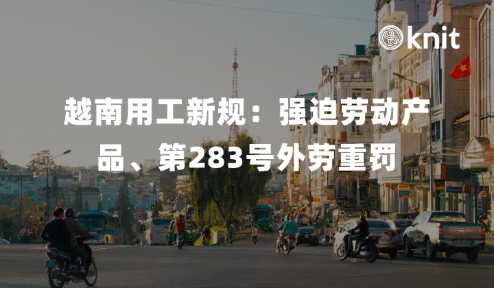 2026越南9月合规新规全景指南：强迫劳动产品禁止进口、第283号外劳重罚与出海供应链防线
