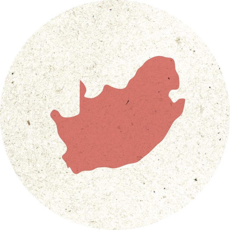 Illustration of south africa.