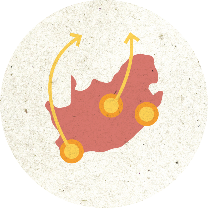 Illustration of a map of south africa with arrows showing influence spreading out from cape town, durban, and johannesburg.