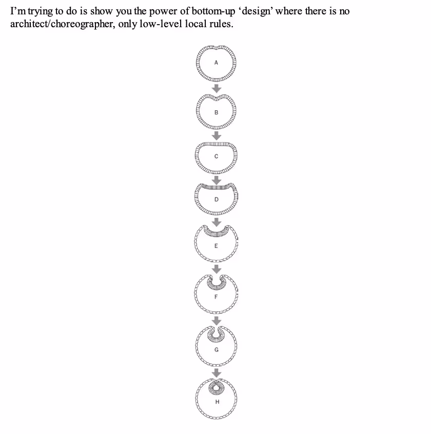 the image shows the potential of a bottom-up design only with the availability of low-level local rules.  