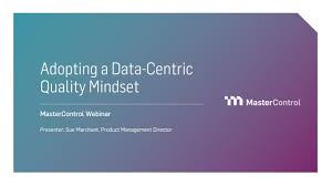 Adopting a Data-Centric Quality Mindset