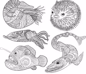 Ugly Fish Isolated: Over 710 Royalty-Free Licensable Stock Illustrations &  Drawings | Shutterstock