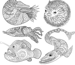 Ugly Fish Isolated: Over 710 Royalty-Free Licensable Stock Illustrations & Drawings | Shutterstock