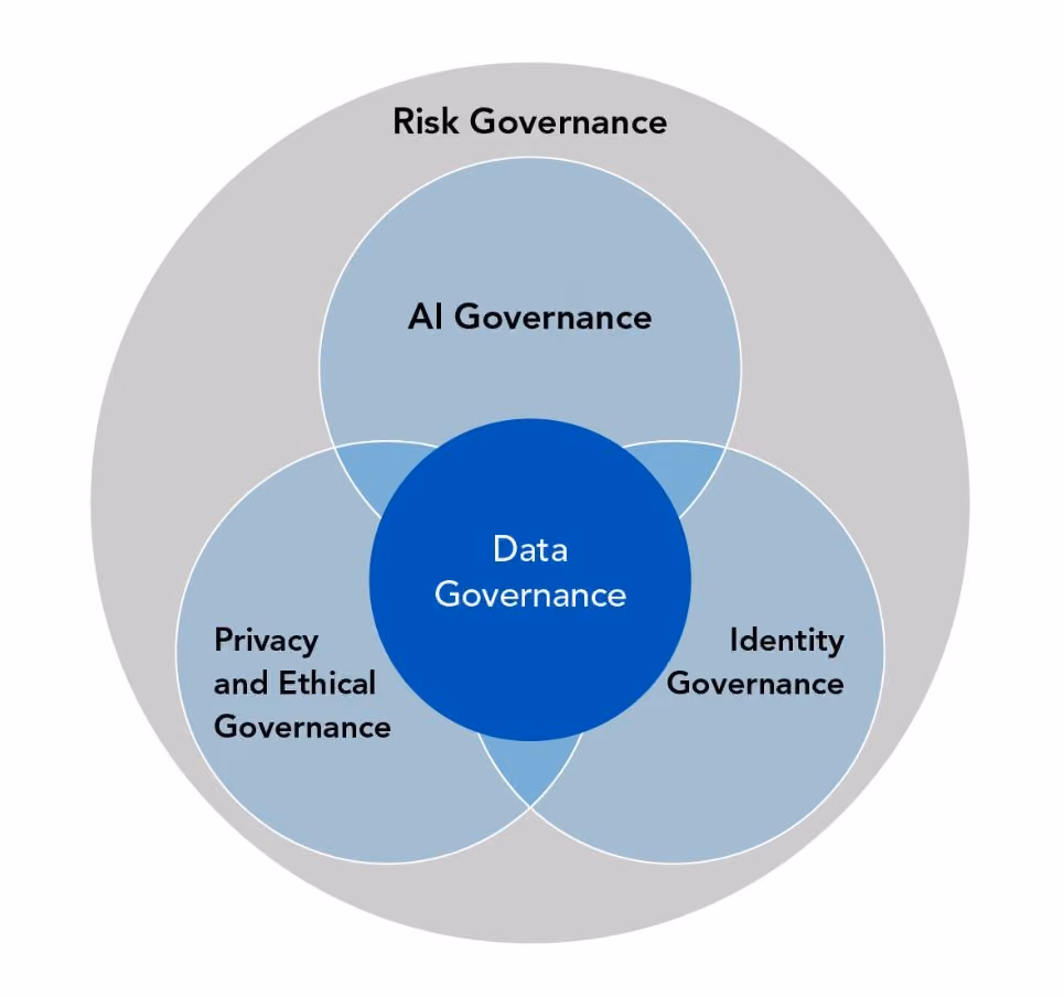 Venn diagram showing Data Governance at the centre of AI, Risk, Privacy, and Identity Governance.