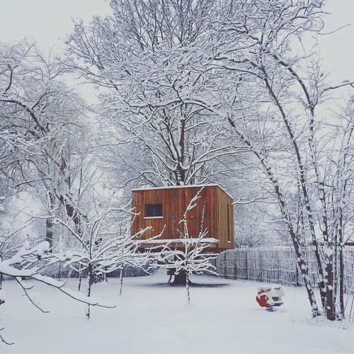 Boomhut voor kinderen en volwassenen
