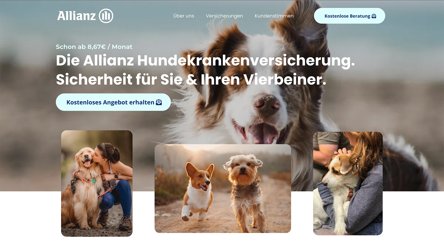 Allianz Case