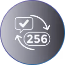 Icon showing a checkmark with an arrow towards a number (256) and an arrow pointing back to the checkmark