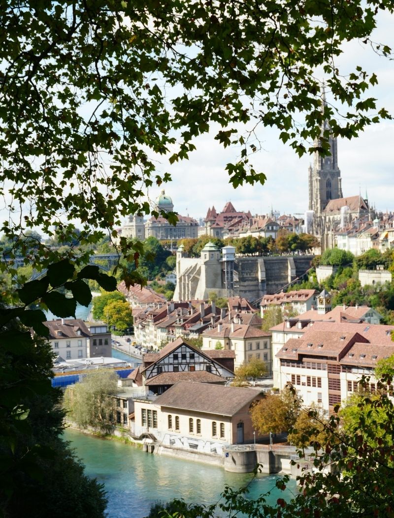View of a European town with historic buildings and a river, framed by leafy tree branches.